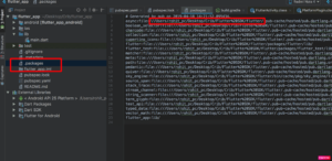 Flutter Path 