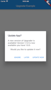 flutter app update