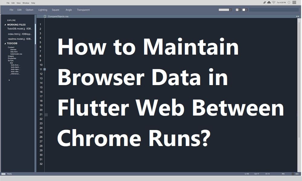 Maintain Browser Data in Flutter Web Between Chrome Runs