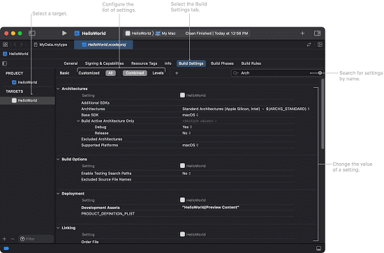 Flutter project iOS build settings editor