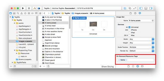 ODR Tags Field Asset Catalog