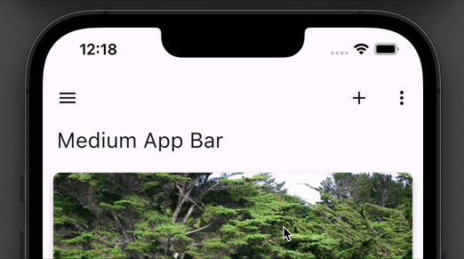 Medium bar